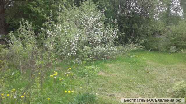 Садовый участок Свердловская обл. Нижнесергинский район раб. пос. Бисерть