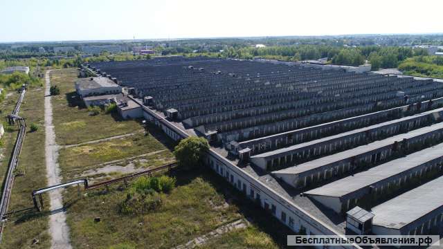 Производственный комплекс Кораблино, Рязанская обл