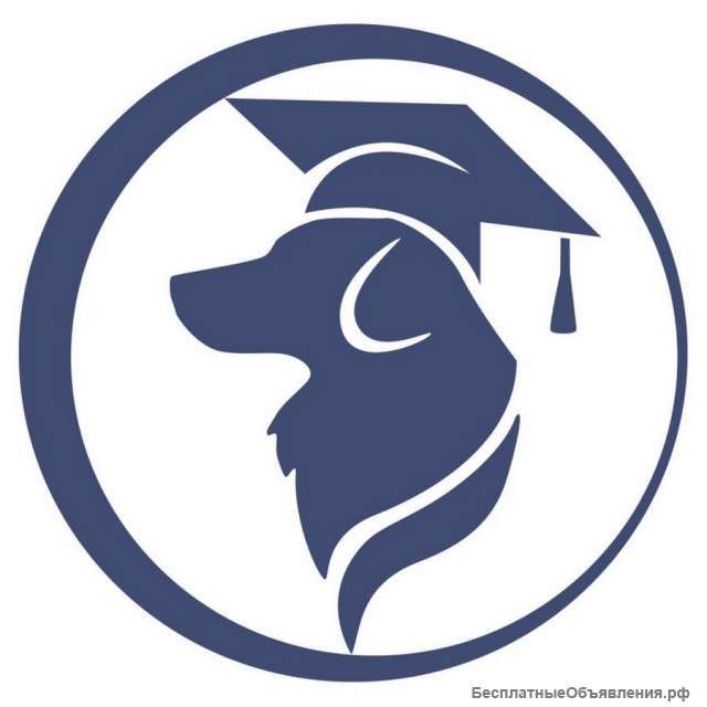 Волонтер-кинолог канистерапии