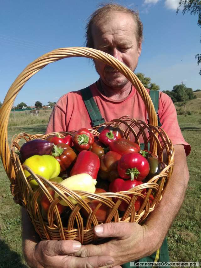 Целительство по фото