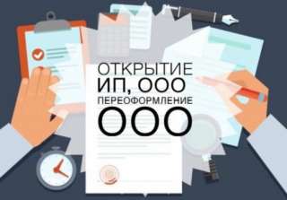 Ооо ип без переплаты, подача за 1 день