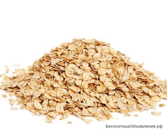 Овсяные хлопья "Геркулес"