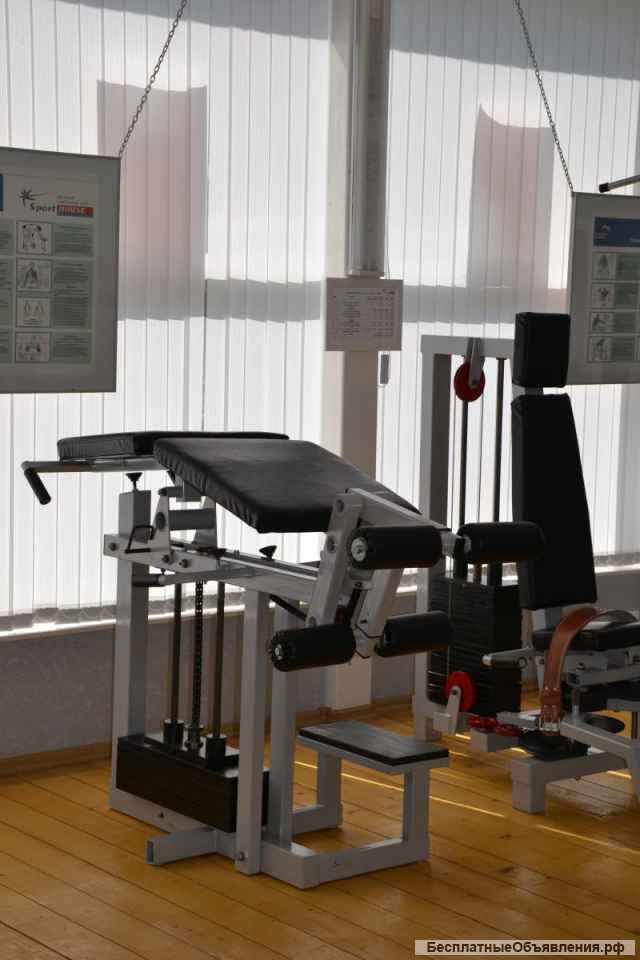 Тренажер Бицепс-трицепс ног БТН01