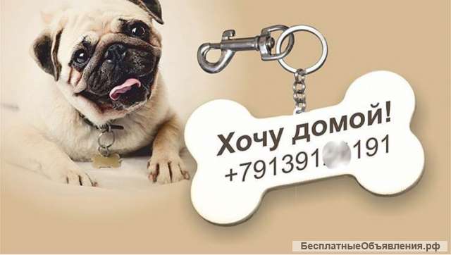 Адресник (косточка) для собак