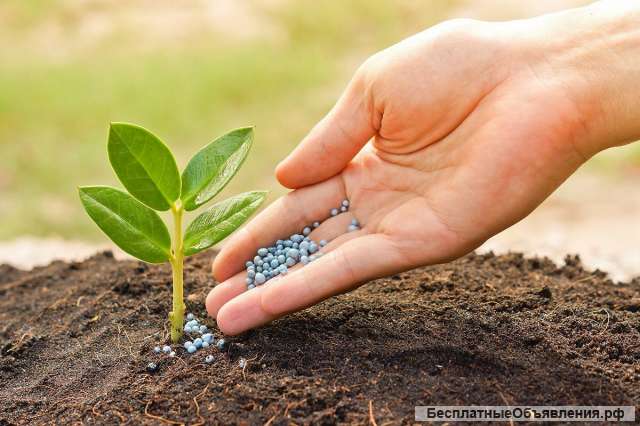 Менеджер по продажам микроудобрений, удобрений для нужд сельского хозяйства