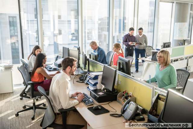 Специалист с опытом бухгалтера