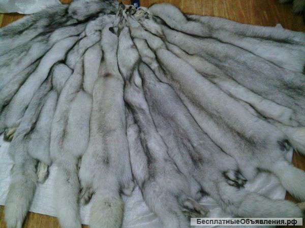 Шкуры мех лиса песец чернобурка