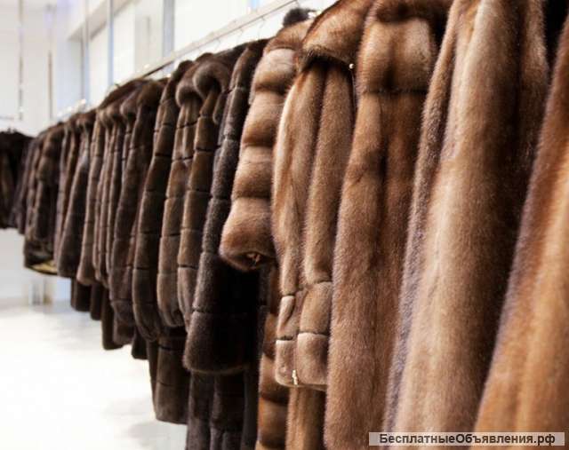 Шуб тур в Пятигорск
