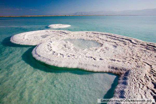 Оздоровительный тур на Мёртвом море в Израиле