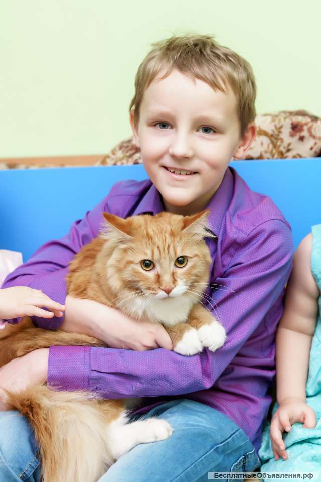 Продленка для начальной школы