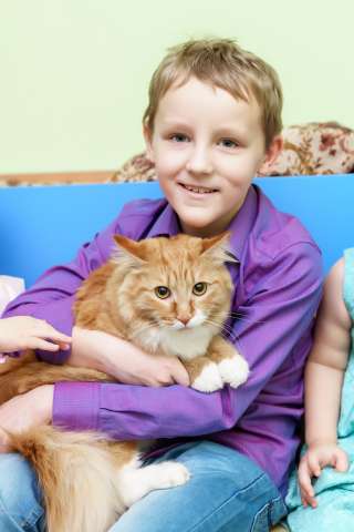 Продленка для начальной школы