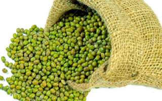 Маш-Бобы для проращивания