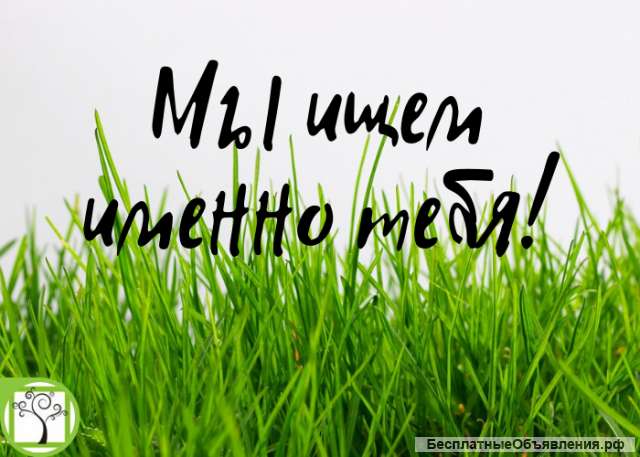 Ищем сотрудника