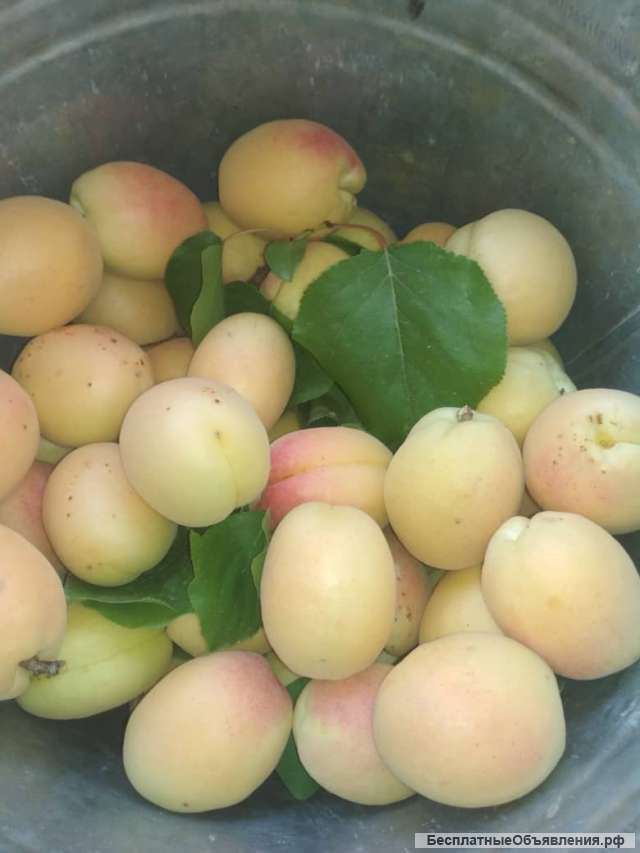 Продавай хороший массаж классический