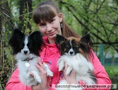 Кинолог, зоопсихолог
