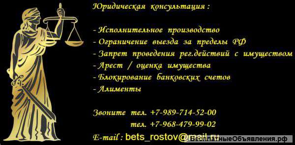 Представительство в ФССП РФ
