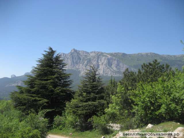 Земельный участок