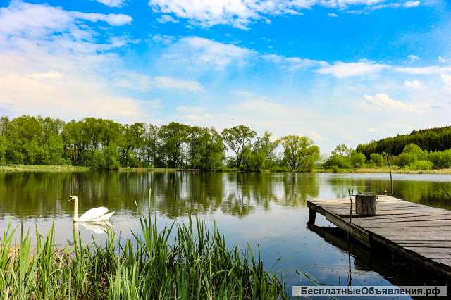 Уютный дом в тихом белорусском местечке Жировичи