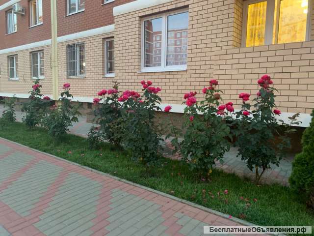 1 к.кв. в ЖК "Спортивная Деревня"