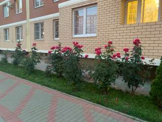 1 к.кв. в ЖК "Спортивная Деревня"