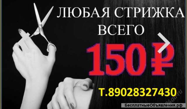 Стрижки Недорого