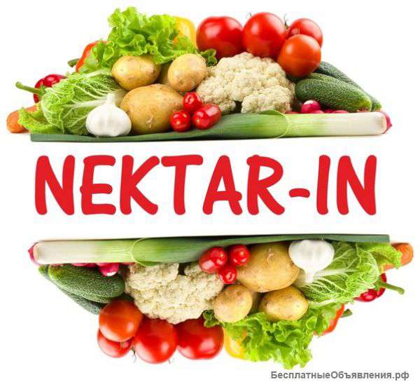 Компания Nektar-in доставка овошей и фруктов