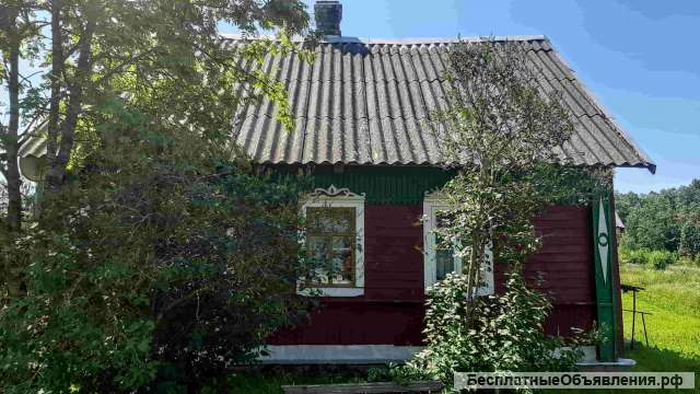 Крепкий домик хуторного типа, 1 гектар земли