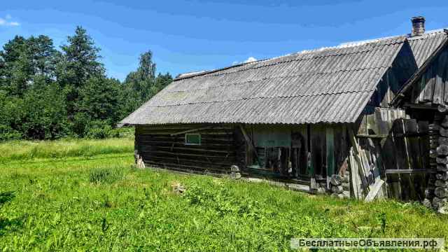 Крепкий домик хуторного типа, 1 гектар земли