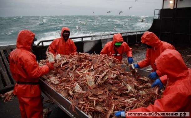 Оптом камчатский краб и икру горбуши с документами