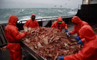 Оптом камчатский краб и икру горбуши с документами