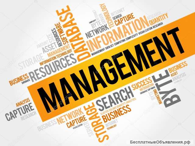 Консультационная помощь при подготовке к написанию и защите ВКР по менеджменту