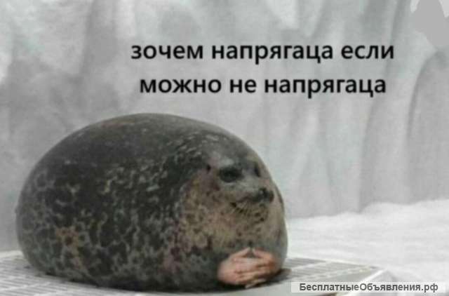 Работа по типу фриланса
