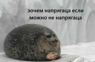 Работа по типу фриланса