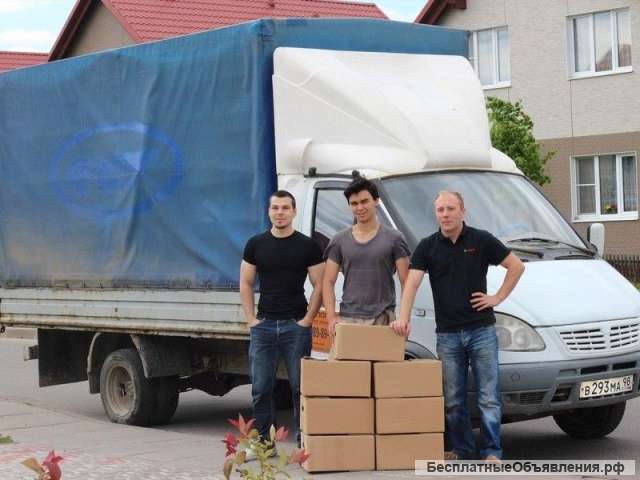 Сильные, ответственные, аккуратные грузчики