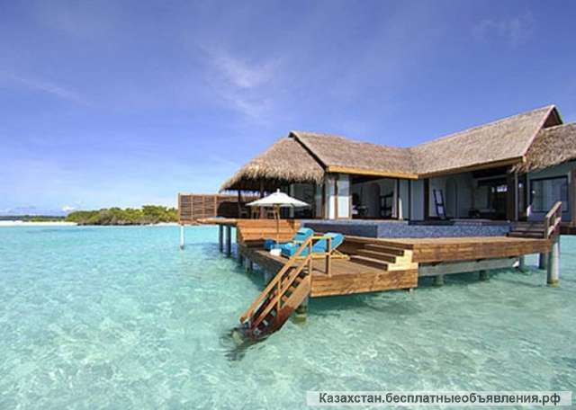 Он-лайн школа удаленных профессий