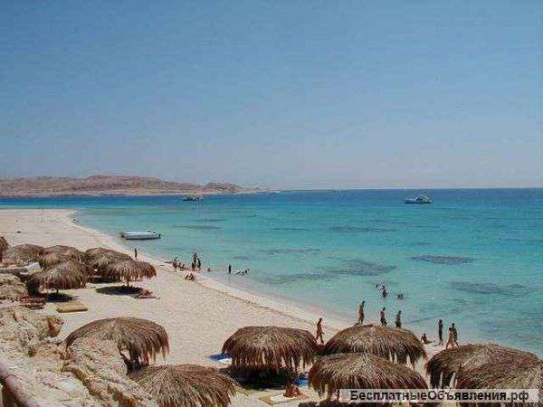 Аренда и продажа недвижимости в Хургаде (Египет)