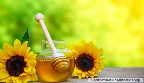 Мед подсолнух 2020
