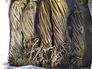 Папоротник Орляк солёный