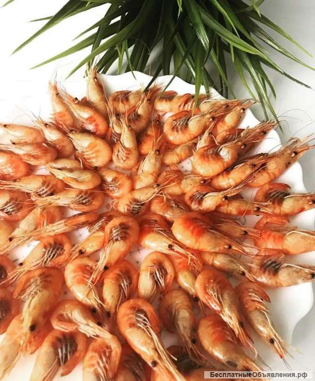 Море продукты