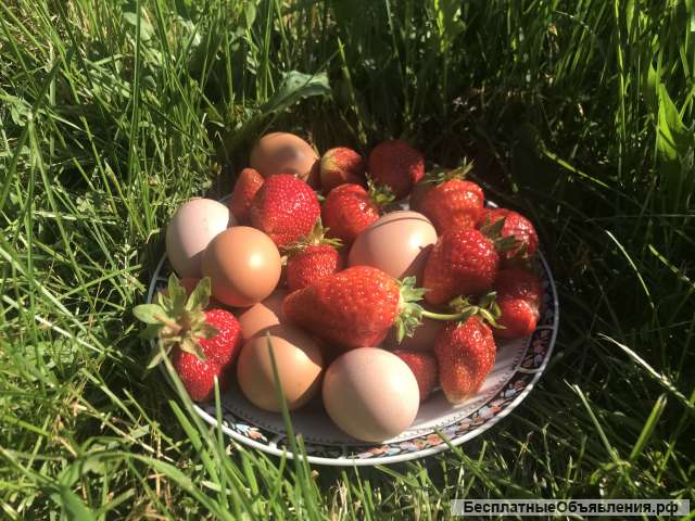Яйца из деревни