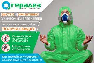 Уничтожение клопов тараканов