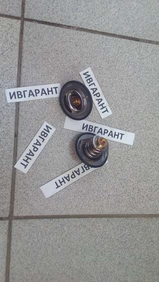 5256423 Термостат 5256423