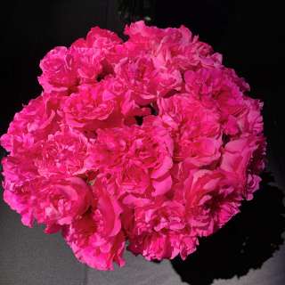 Достака Цветов / Букеты / Корзины