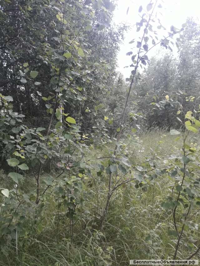Участок о. Волго