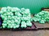 Оптовая продажа капусты