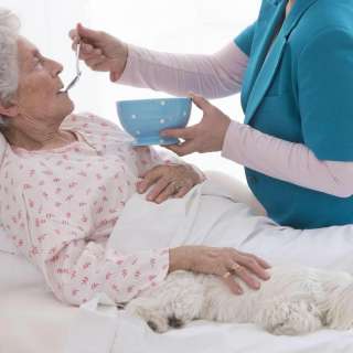 Сиделку на дневное время