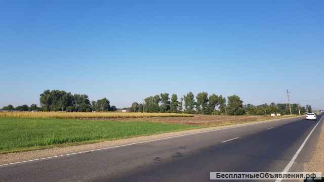 Зем.уч. ст-ца Новотитаровская, ул. Крайняя, 100 соток.