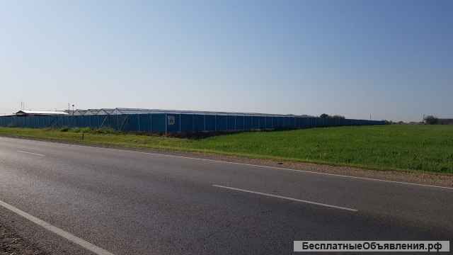 Зем.уч. ст-ца Новотитаровская, ул. Крайняя, 100 соток.
