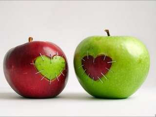 Рабочие в сады на сбор яблок