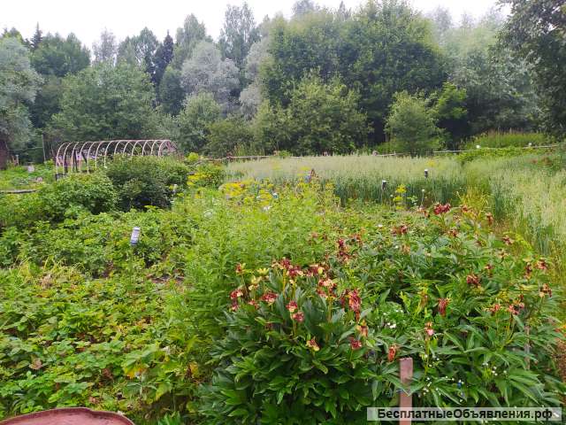 Дачу 25 кв.м, Шумерлинский р-н, поселок Саланчик.